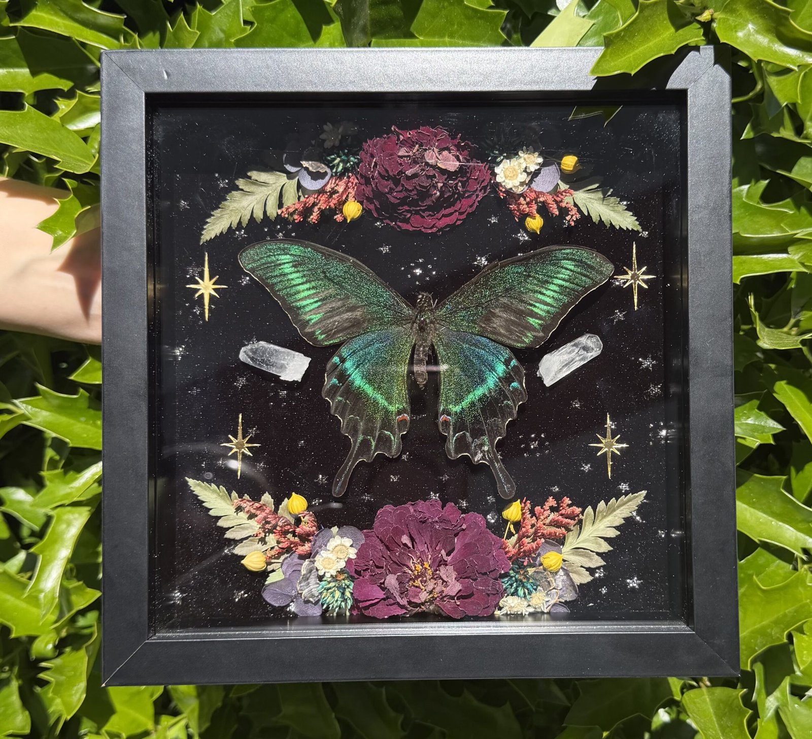 Butterfly Shadow Box Workshop