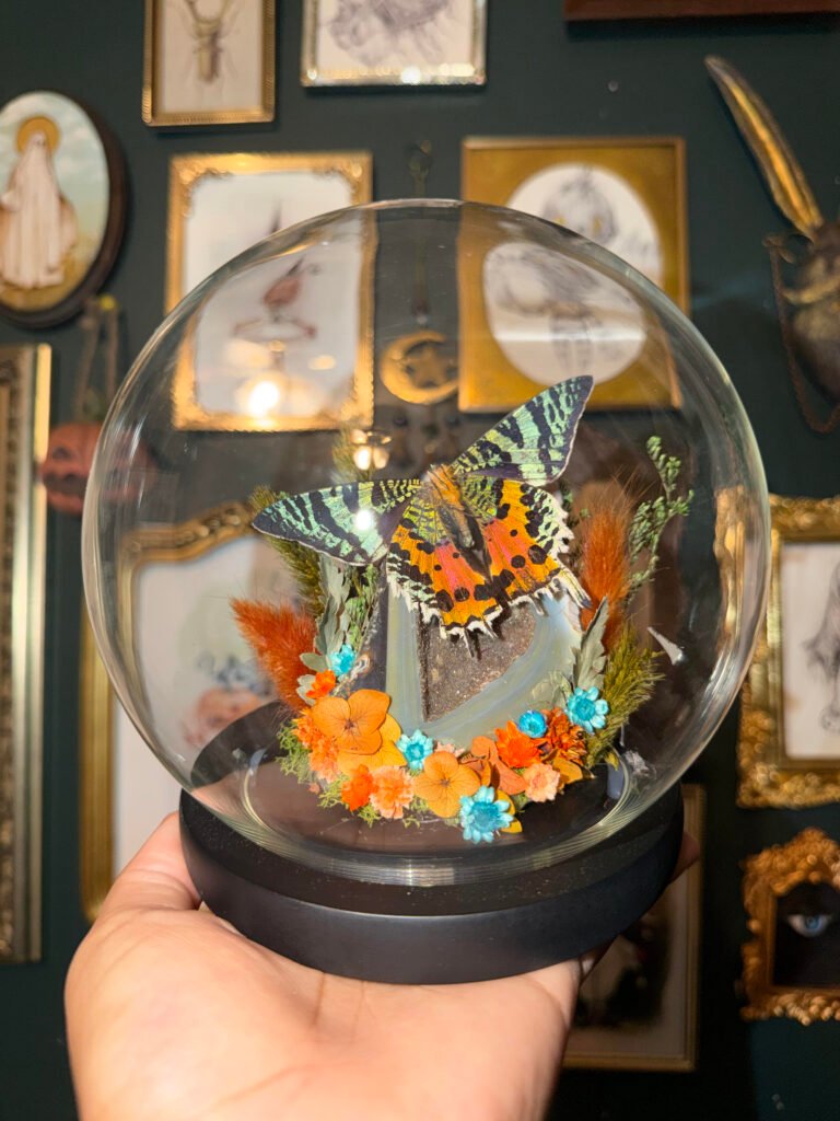 Sunset Moth & Druzy Agate Glass Dome
